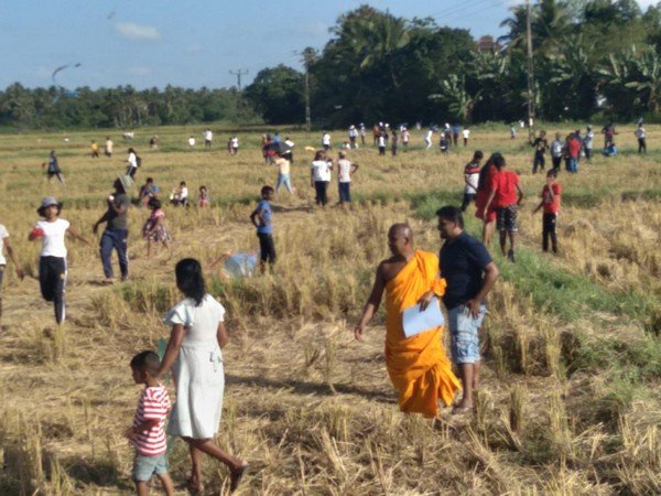 "Freedom's Sky" Kite Festival at Homagama (2023-08-20)